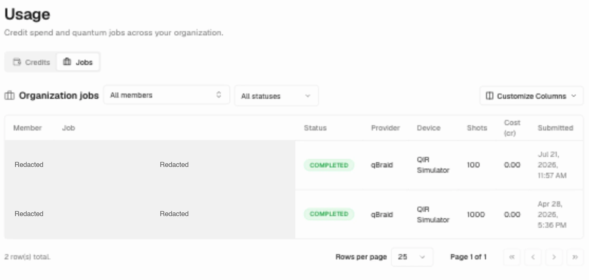 Organization Usage Jobs tab with member and status filters, column controls, two completed jobs, and pagination; member names and job identifiers are redacted